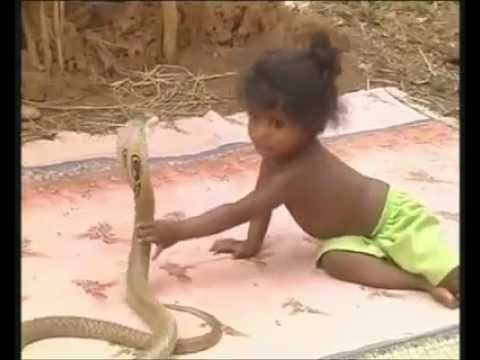 VIDEO – Ar ko bērni rotaļājas Indijā? (Only In India, they use cobra as toys for their kids)