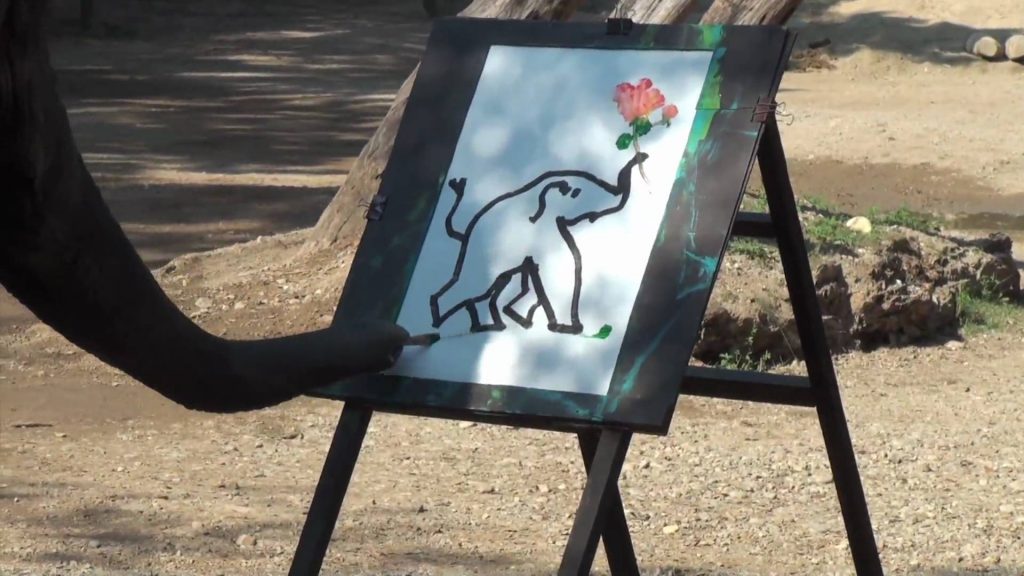 VIDEO – Zilonis uzzīmē pats sevi! (Elephant Paint Himself)