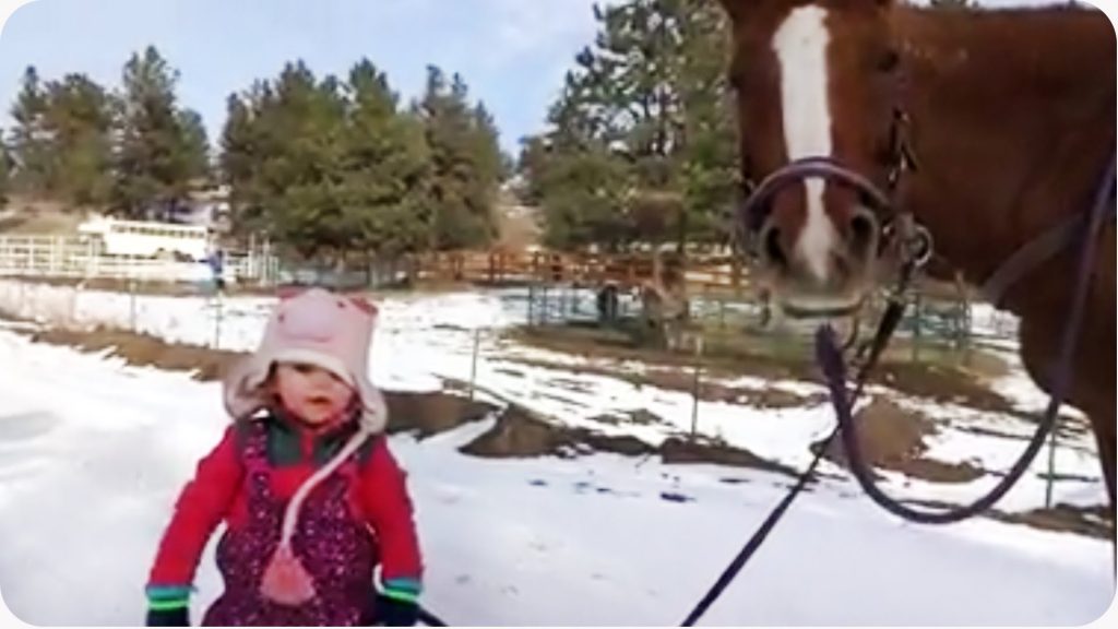 Divgadīgas meitenes draudzība ar ķēvi vārdā Kanēlis. (Emma and Cinnamon – Little Girl and Horse Are Best Friends)