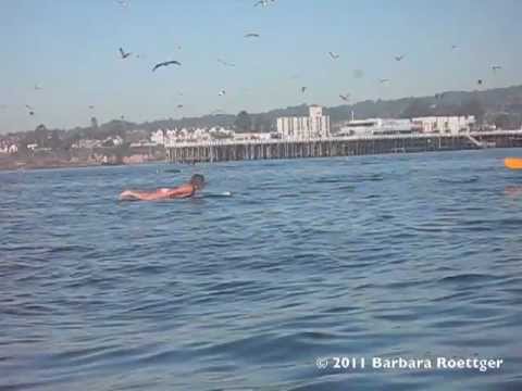 Meiteni – sērfotāju gandrīz aprij valis! (Surfer Almost Swallowed By Whale – Crazy!)