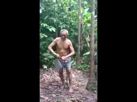 Večuks rāpjas kokos kā tarzāns! (Watch This Old Man Power Up A Tree)