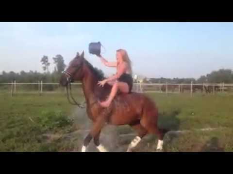 VIDEO – Kad “ledus spaiņa” izaicinājums noiet greizi… (ALS Ice Bucket Challenge On A Horse Goes Wrong…)