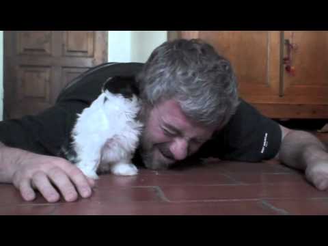 VIDEO – Kucēns un saimnieks! (The most adorable things happen when you lie next to a puppy)