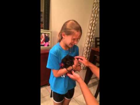 VIDEO – Meitenes reakcija, dāvanā saņemot ko īpašu! (Doggy Meltdown)