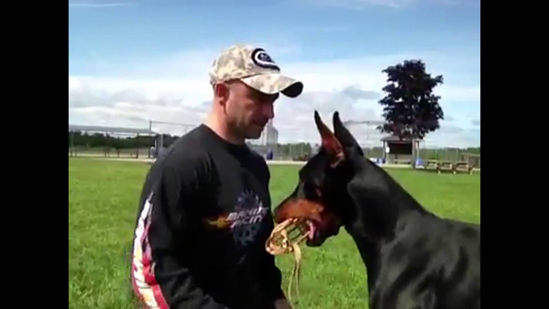VIDEO – Labi trenēts suns. (Well-trained Dog)
