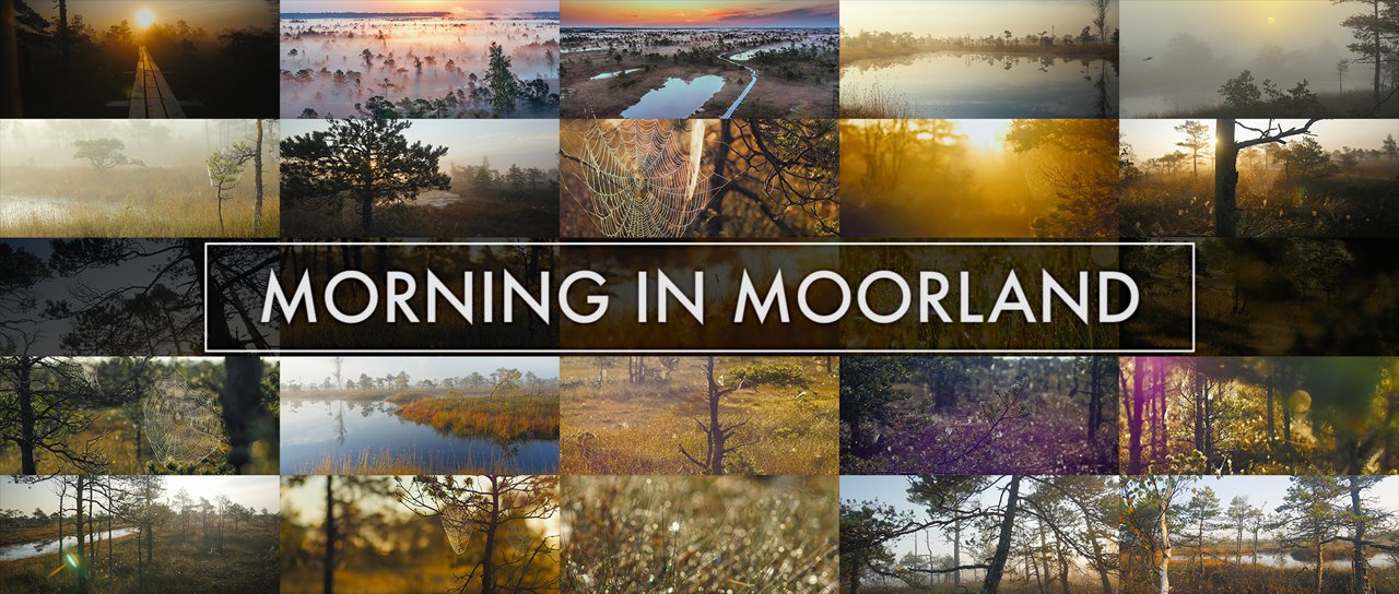 VIDEO – Kā izskatās saullēkts Ķemeru nacionālajā parkā? (Morning in Moorland)