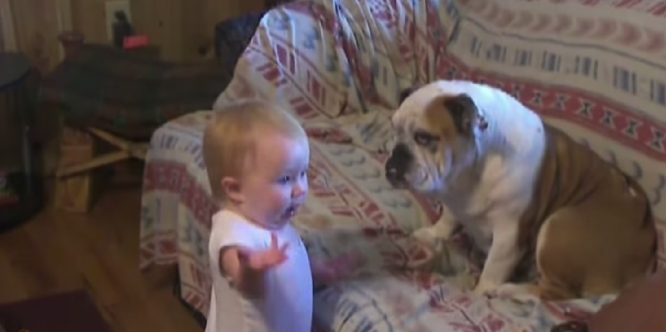 VIDEO: Mazuļa saruna ar suni! Nabaga suns… (Baby Makes a Valid Argument To… Dog)