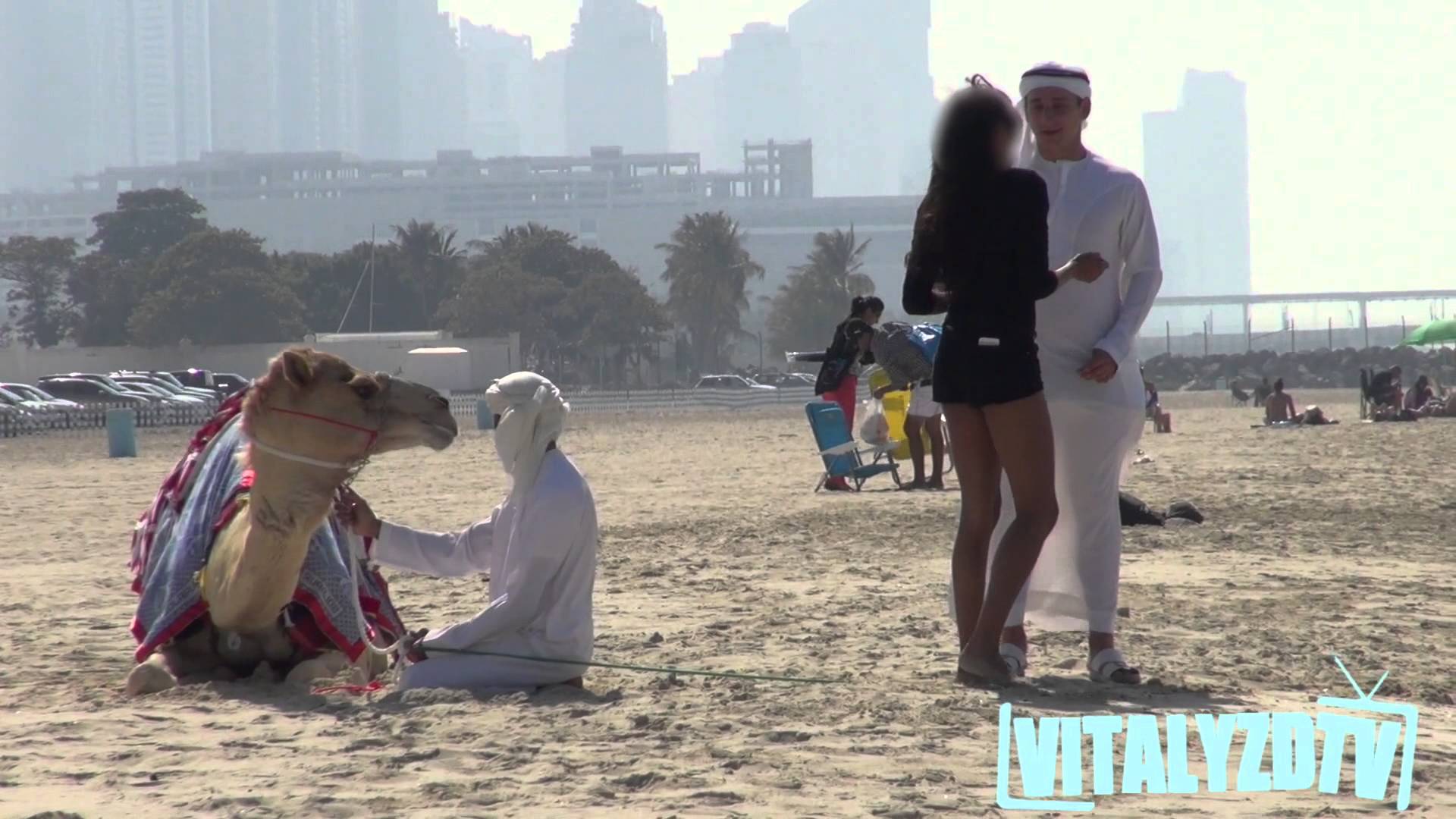 VIDEO: Dubaijā vīrieši meitenes “copē” ar… kamieļiem! (Gold Digger Camel Prank!)