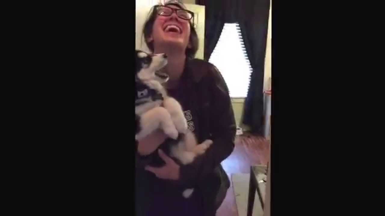 VIDEO: Šokējoši! Cilvēku valodā runājošs kucēns! (Talking husky puppy)