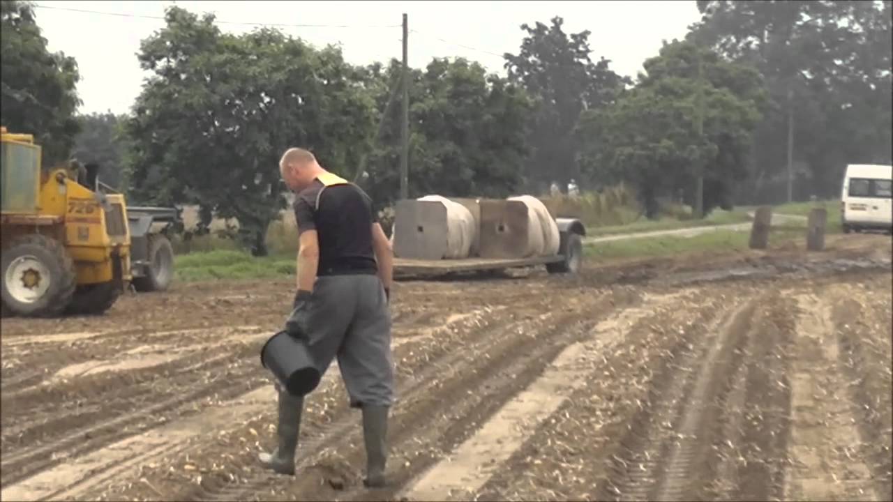 VIDEO: Kā latviešu čaļi no Latgales Anglijā kartupeļus vāca?