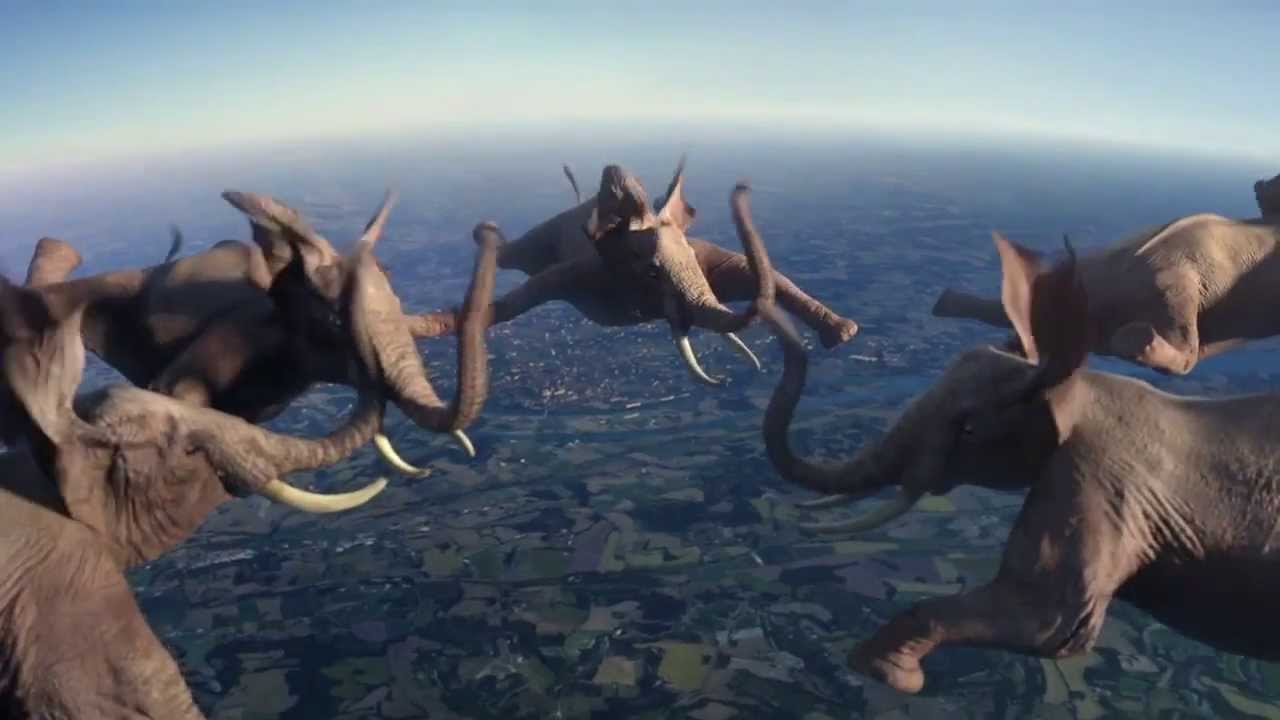 VIDEO: Francijā tapusi reklāma. Frančiem tā lieta sanāk! (Fly, skating animals!)
