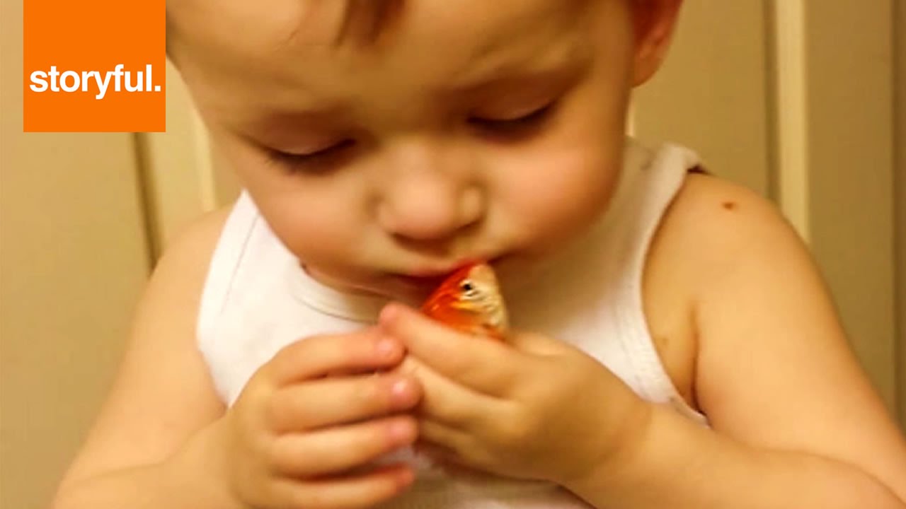 VIDEO: Zēns mīļi atvadās no savas zelta zivtiņas! (Child Says Sad Goodbye To Pet Goldfish)