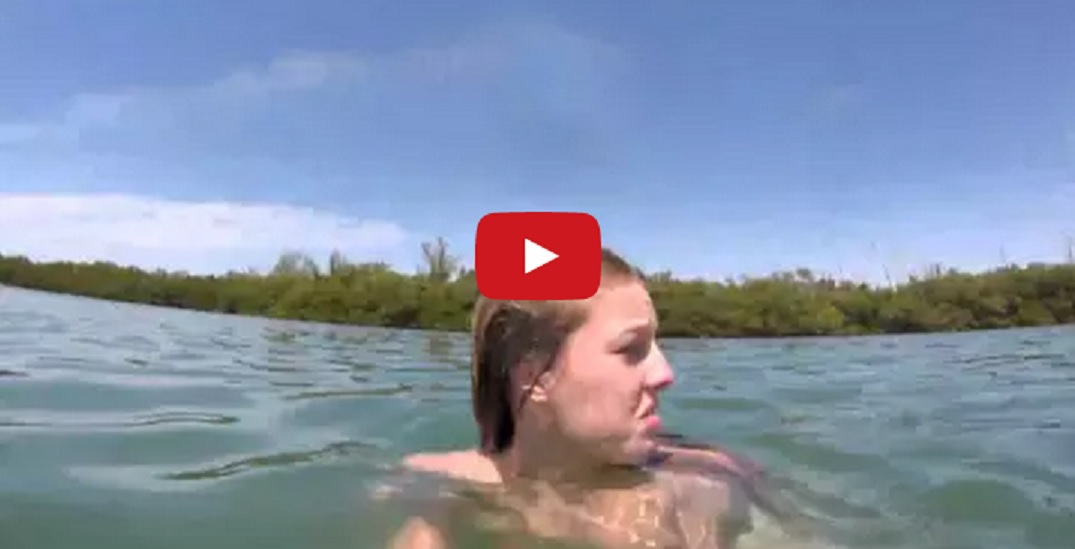 VIDEO: Meitenei uzbrūk… lamantīns! (Girl getting attacked by a manatee!)