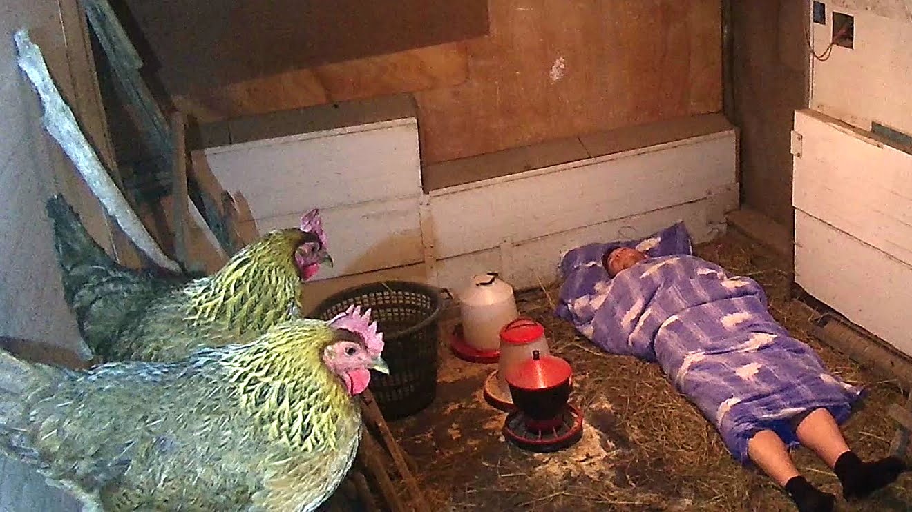 VIDEO: Kāda ir sajūta, kad draugi tevi sazāļo un aizved uz vistu kūti!? (Sleeping in the Chicken House Prank!)