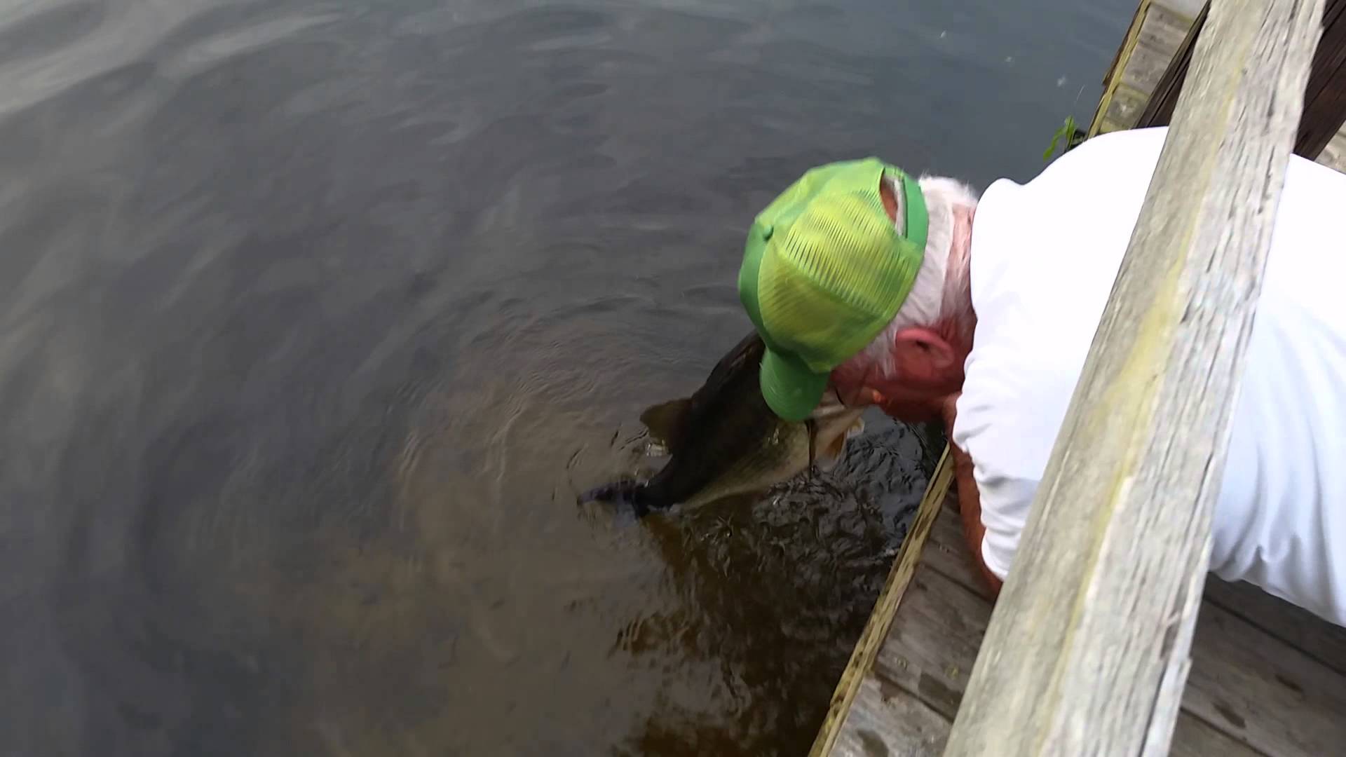 VIDEO: Zivju pavēlnieks jeb kā noķert zivi bez makšķeres? (The Fish Whisperer)