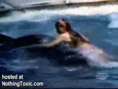 VIDEO: Baisi! Valis negaidīti uzbrūk meitenei! (Killer Whale Attacks Unsuspecting Girl!)
