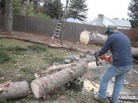 VIDEO: Cerams, ka viņa pagalmā visi koki nav tādi. (el corte mágico / Cutting the magic tree)