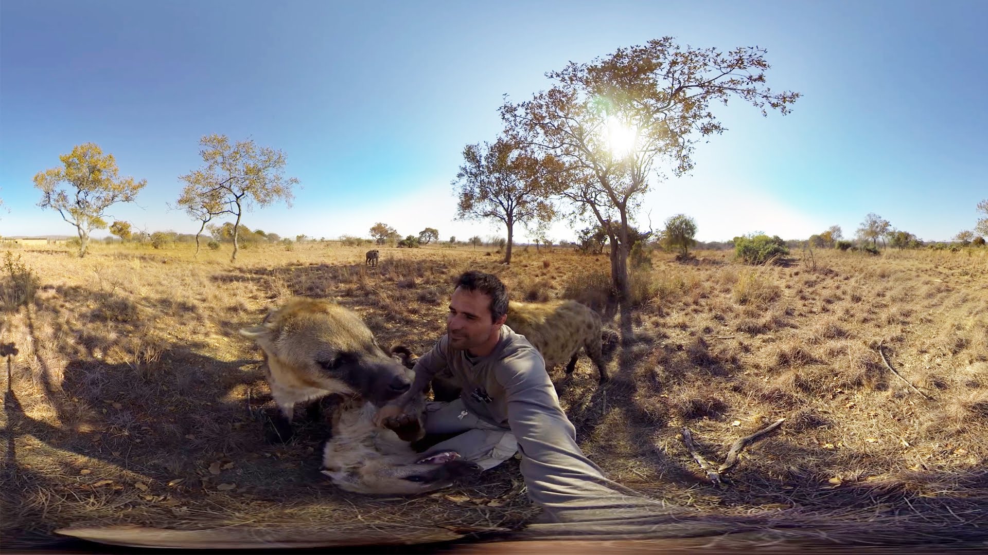 VIDEO: Iespaidīgi – video, kurā pats vari mainīt skatpunktu par 360 grādiem! (GoPro Spherical: Hyenas Wrestling With Kevin Richardson!)