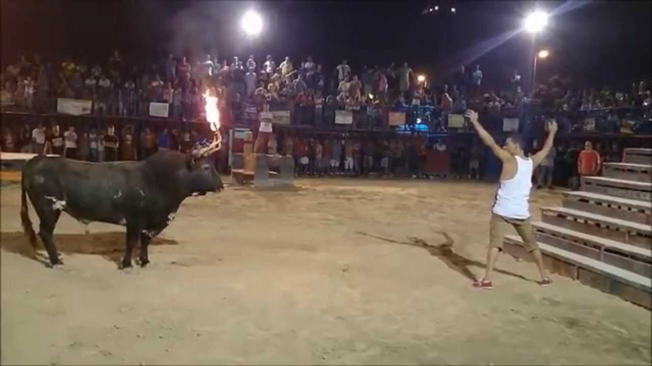 VIDEO: Kad liesmojošs bullis satiek idiotu… (Flaming-horns Bull vs Idiot!)