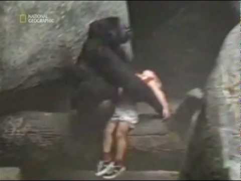 VIDEO: Mātes instinkts? (Dangerous Monkey catch a child at zoo)