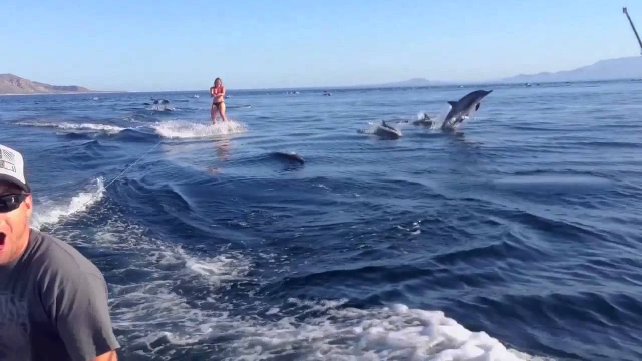 VIDEO: Meitene piedzīvo kolosālu dabas fenomenu! (Dolphin Surfing, Woman Wakeboarding with Dolphins!)