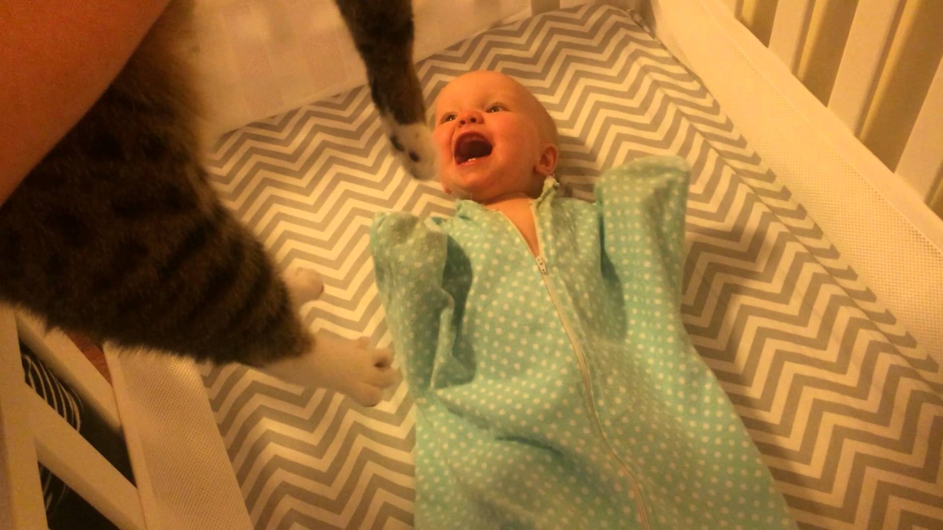 VIDEO: Bērniņam nekas nesagādā tik lielu prieku kā .. kaķis! Četrkājis gan tāds piesardzīgi uzmanīgs. (Baby Loves Cat)
