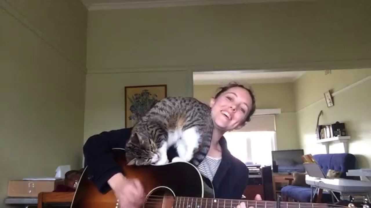 VIDEO: Ja gribi, lai cilvēki skatās Tavus video, lūdz palīdzību maziem bērniem vai kaķiem. (‘Loverless’ feat. George the cat – Ayleen O’Hanlon)