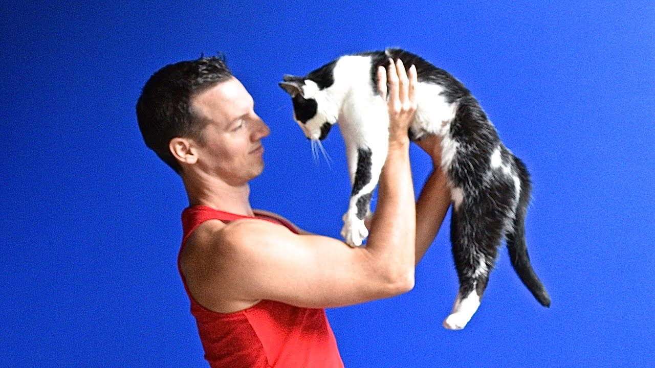 VIDEO: Ko kaķi domā tad, kad Tu vingro? (What Cats Think When You Exercise)