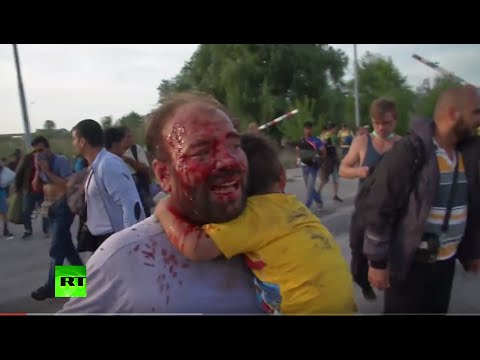 VIDEO: Asinis un asaras: Uz Ungārijas robežas pret bēgļiem masveidā tiek pielietota asaru gāze! (Blood and Tears: Chaotic scenes at Hungarian border as refugees come under tear gas!)