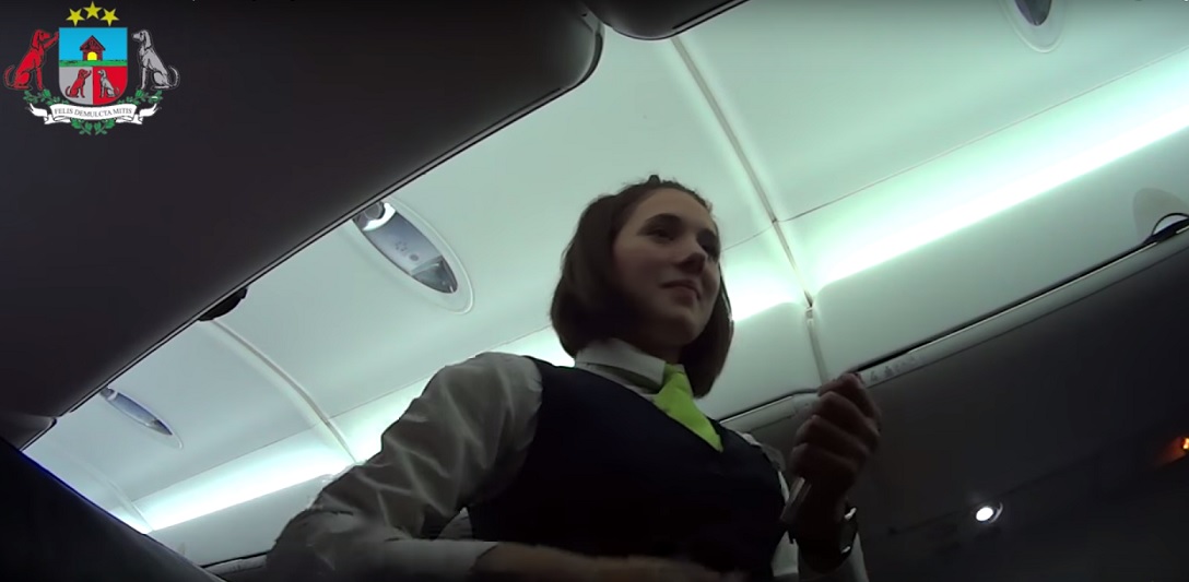 VIDEO: Deputāts Artuss Kaimiņš AirBaltic lidmašīnā atkal uzsāk karstas diskusijas ar stjuartēm!