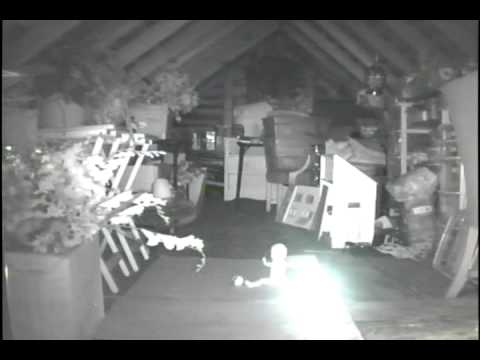 VIDEO: Kad mājas bēniņos kāds regulāri trokšņo, ir laiks ķerties pie video novērošanas kameras..