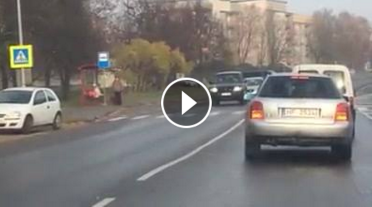 VIDEO: Talsos pat pīles ievēro CSN un šķērso ielu tam paredzētajā vietā – pār gājēju pāreju!