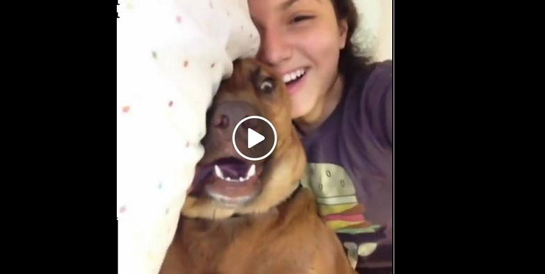 VIDEO: Lūk, kāpēc ar suņiem nekad nav garlaicīgi!