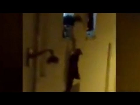 VIDEO: Briesmīgi! Lai izbēgtu no apšaudes Parīzes koncertzālē, grūtniece karājās ārā pa logu!