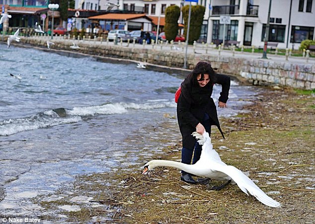 Šīs tūristes stulbumam un egoismam nav robežu …