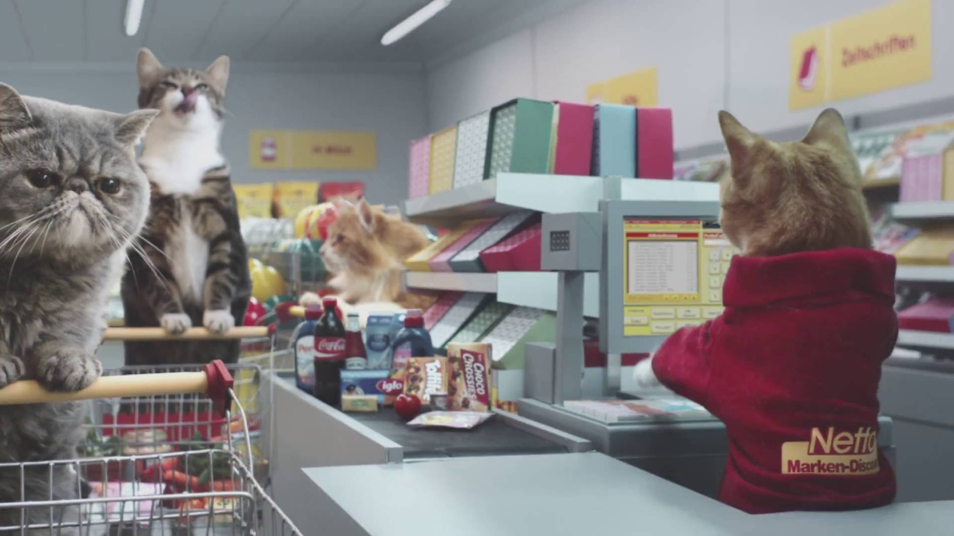 VIDEO: Uzjautrinoša kāda Vācijas lielveikala reklāma. Galvenajā lomā – populārāko youtube video kaķi!