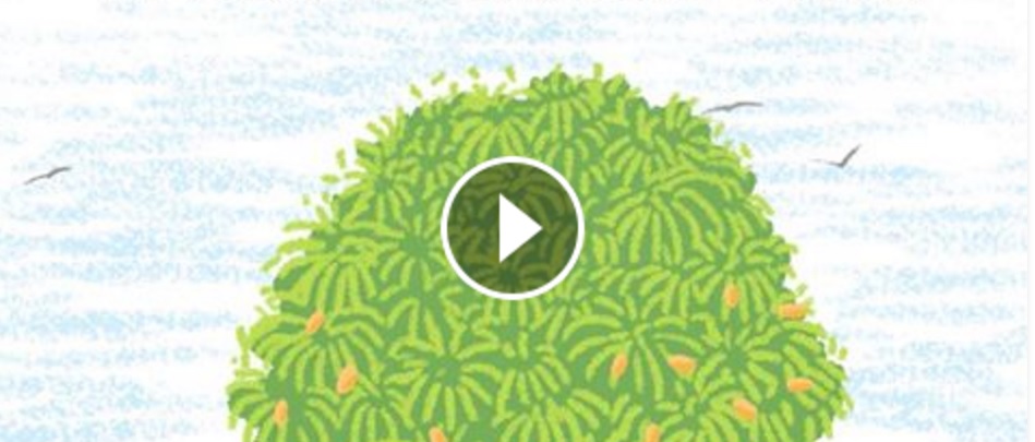VIDEO: Stāsts par mango koku, kurš būtu jānoskatās katram!
