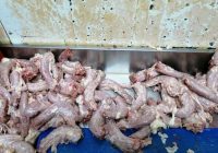 Nelegālā ražotnē Lubānas ielā sagatavo nezināmas izcelsmes putnu gaļu tālākai tirgošanai Rīgas Centrāltirgū