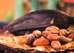 Pasaules šokolādes diena – ES “svin” ar milzīgām cenām