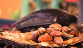 Pasaules šokolādes diena – ES “svin” ar milzīgām cenām