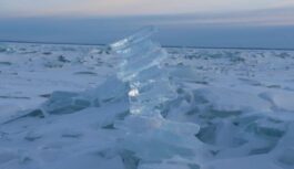 Jēkabpilī Daugavā ir sākusies pavasara ledus iešana Jēkabpilī Daugavā ir sākusies pavasara ledus iešana