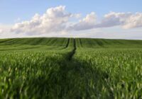 Pavasara darbu sākums un ziemāju stāvoklis uz laukiem