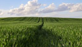 Pavasara darbu sākums un ziemāju stāvoklis uz laukiem