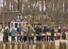 Putnu dienas Latvijā: ģimenes pulcējas, lai gatavotu mājokļus pavasara vēstnešiem